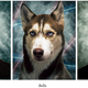 Illustration for article titled 369 Absolutely Adorable Pet Wallpapers